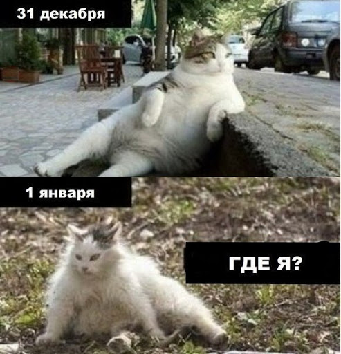 1 Января новый год приколы
