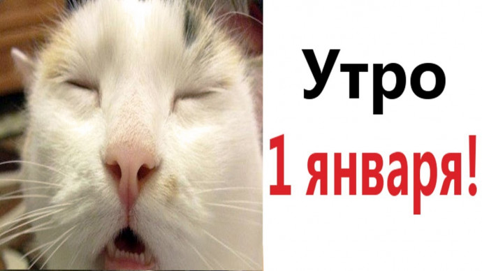 Посленовогодние прикольные фразы