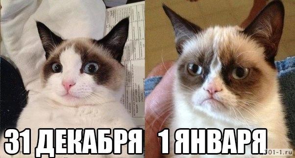 Смешная картинка фото 13 декабря и 1 Января!