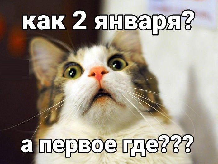 Всем хорошего настроения в этом году – Самые лучшие и интересные новости по теме: Приколы, картинки, приколы 2024.