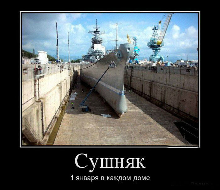 1 ЯНВАРЯ : утро Веселые Картинки Из Мультфильмов, Man Humor, Frases, Шутки, Новый Год, Смешные Высказывания, Доброе Утро, Цитаты, Рождество.