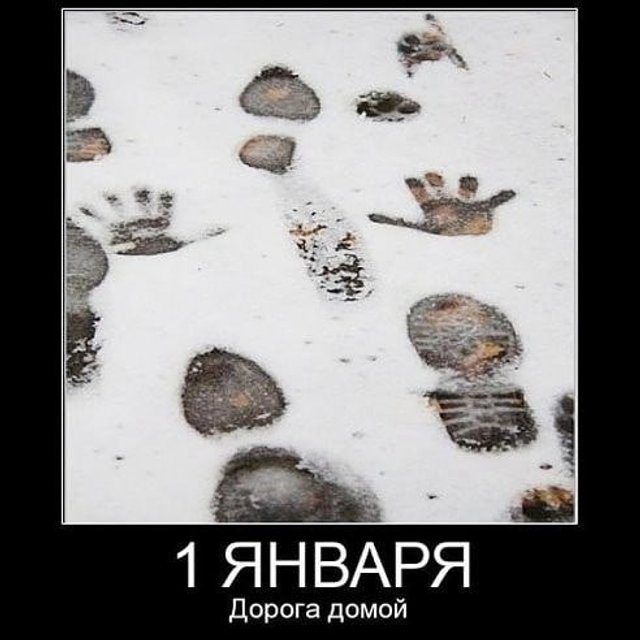 Смешные открытки со старым новым годом 2024 смешные короткие прикольные.