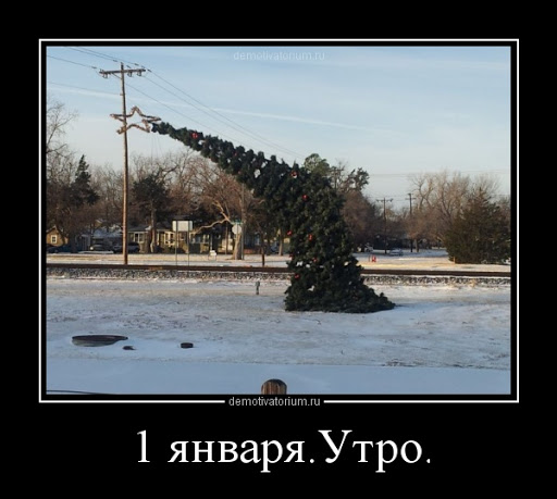 На этой странице собраны самые смешные приколы 2024 года и забавные картинки, которые поднимут настроение каждому.