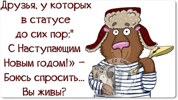 Посленовогодние прикольные фразы