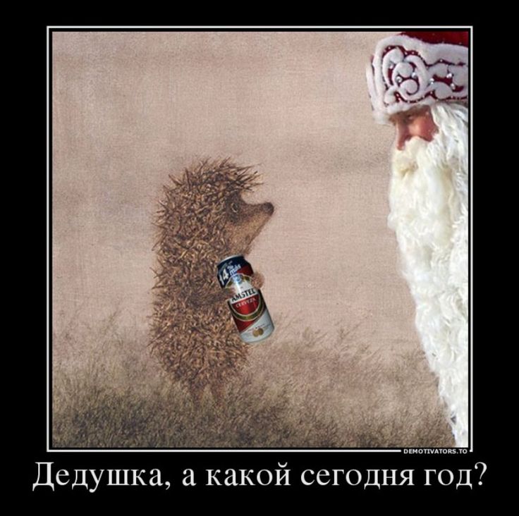 Демотиваторы про новый год смешные
