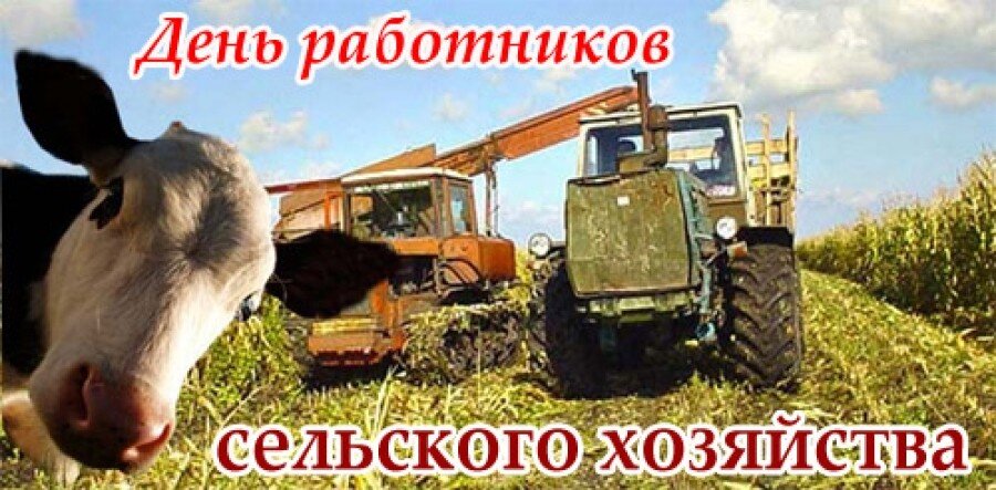 Большая коллекция красивых открыток и картинок для поздравления работников Сельского хозяйства и перерабатывающей промышленности с профессиональным праздником.