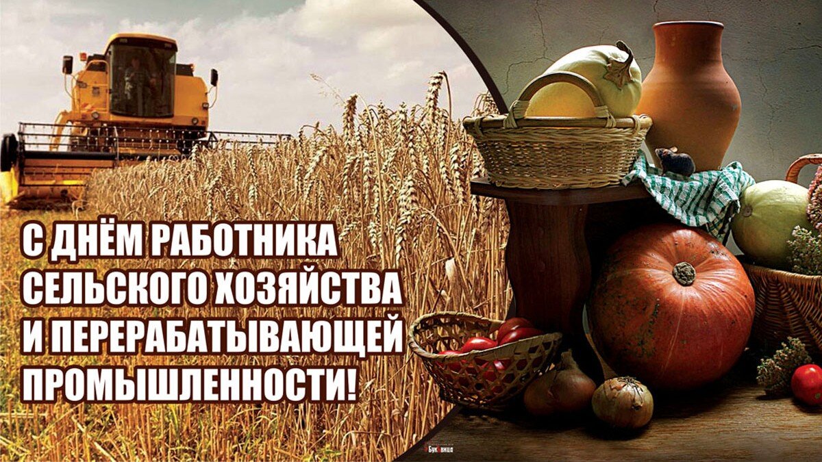 День сельского хозяйства в России - поздравления и поздравительные открытки , картинки , анимашки к праздничному событию , отмечаемому ежегодно во 2-е воскресенье октября.