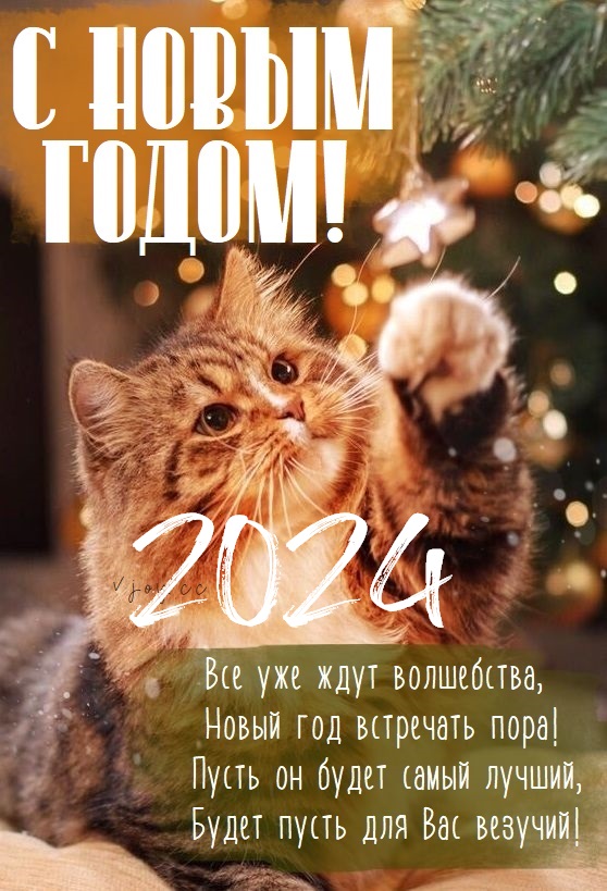 Открытка С Новым годом 2024! Открытка С Новым годом 2024!