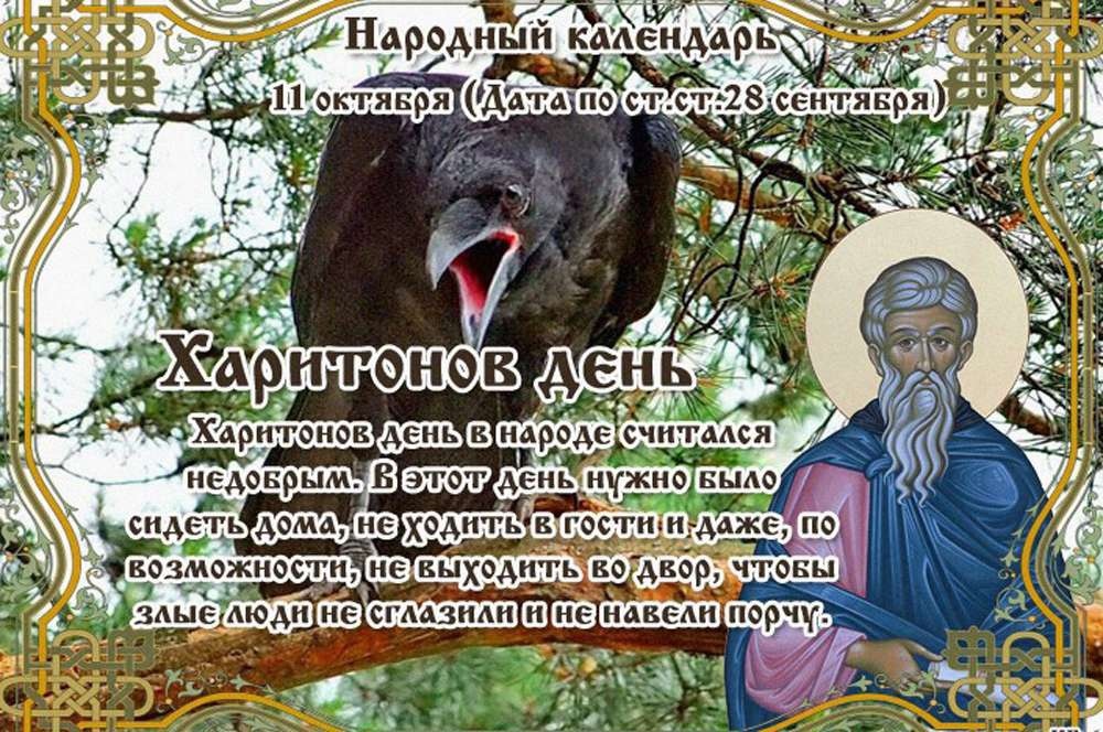 Хостинг картинок yapx.ru