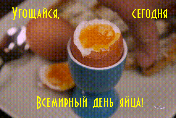 Всемирный день яиц картинки. Всемирный день яиц картинки.