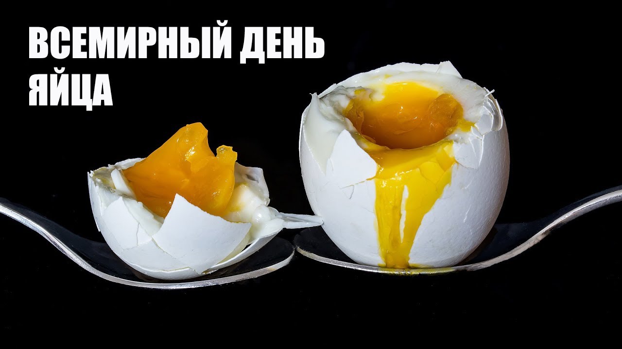 Картинки с всемирным днём яйца: открытки. Картинки с всемирным днём яйца: открытки.