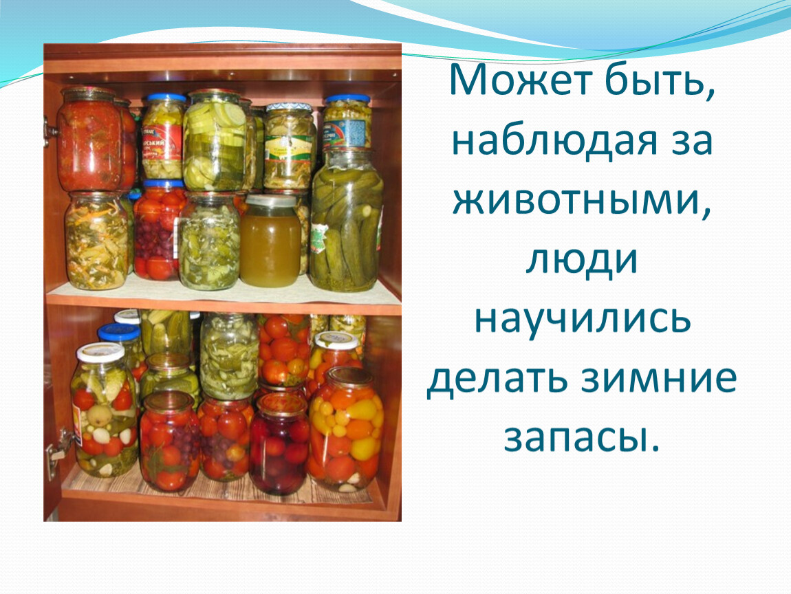 Красивые картинки с днём пополнения запасов на зиму 20 Октября 2023 (30 фото)