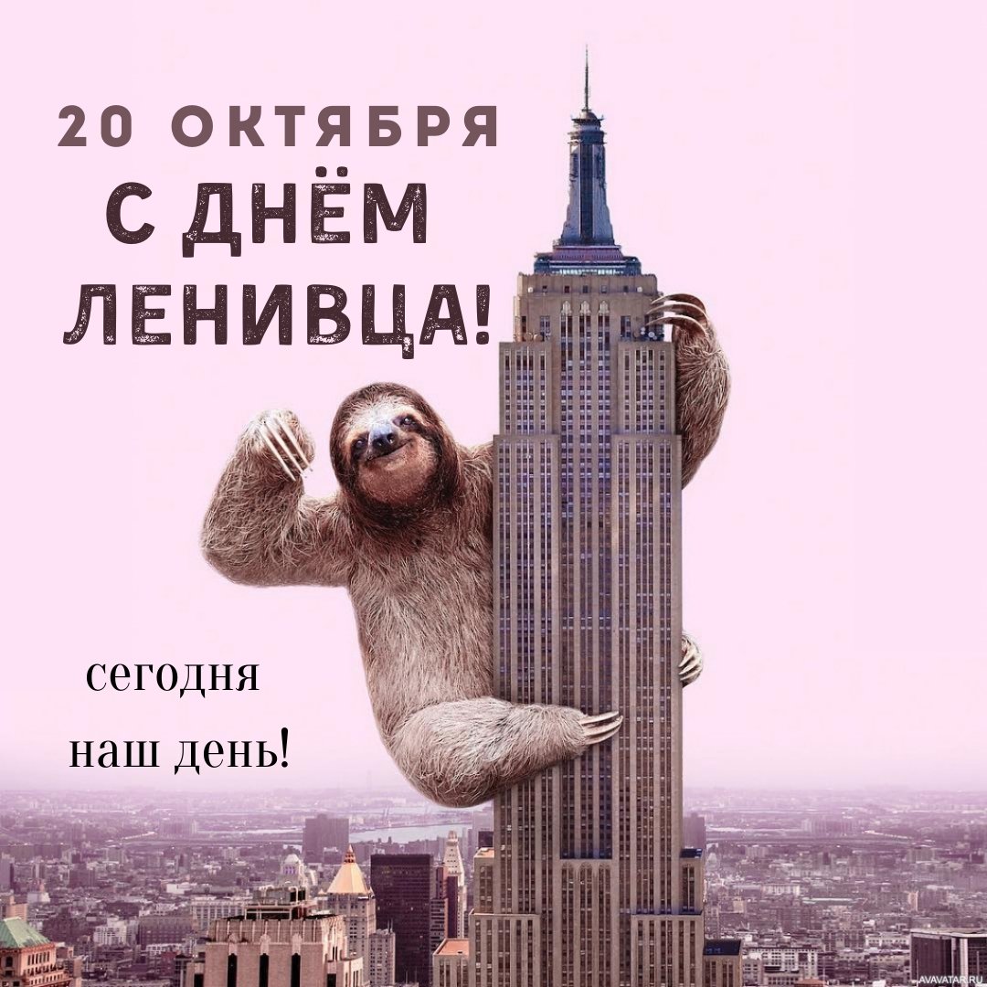 Хостинг картинок yapx.ru