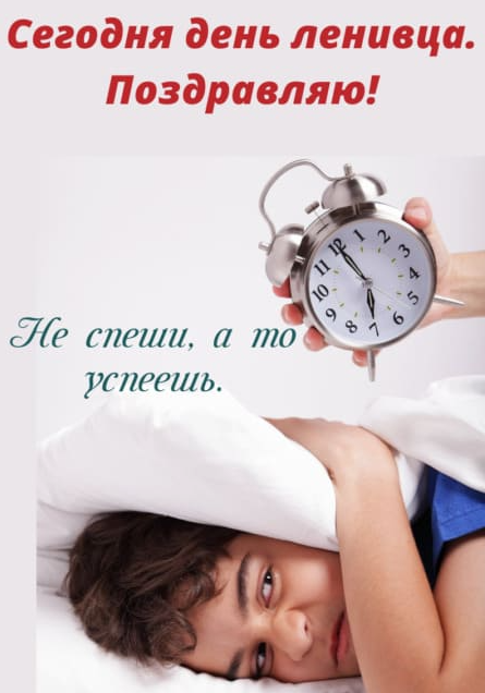 Красивые картинки с днём Ленивца 20 Октября 2023 (30 фото)