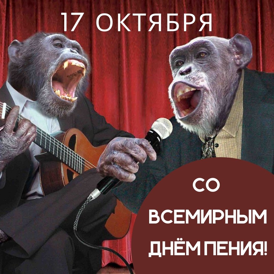 Хостинг картинок yapx.ru