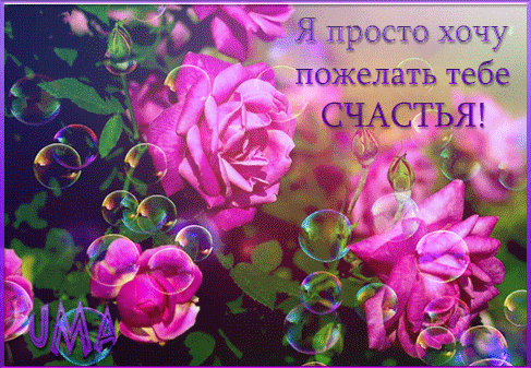 Коллекция открыток с Днем женского счастья. Коллекция открыток с Днем женского счастья.