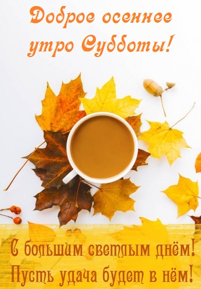 Хостинг картинок yapx.ru
