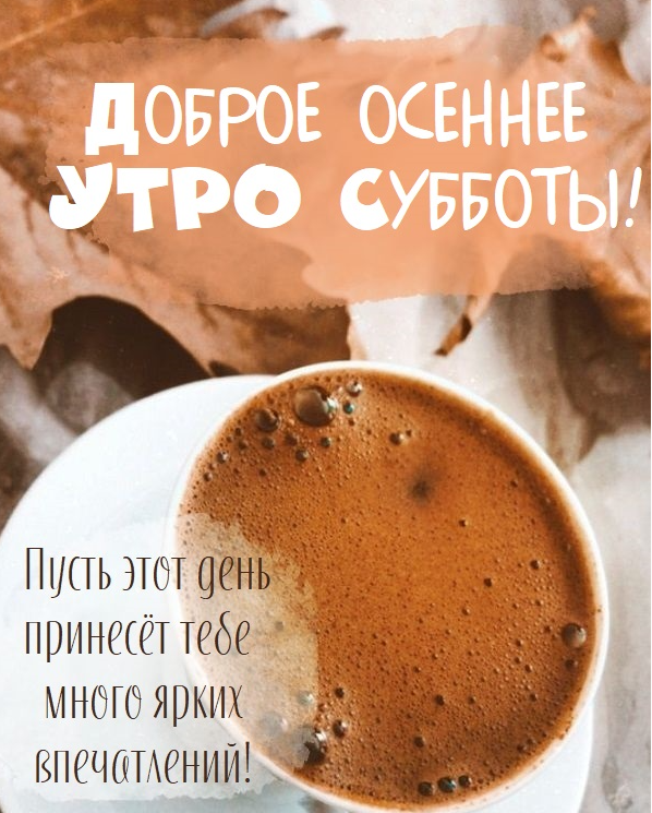 Хостинг картинок yapx.ru
