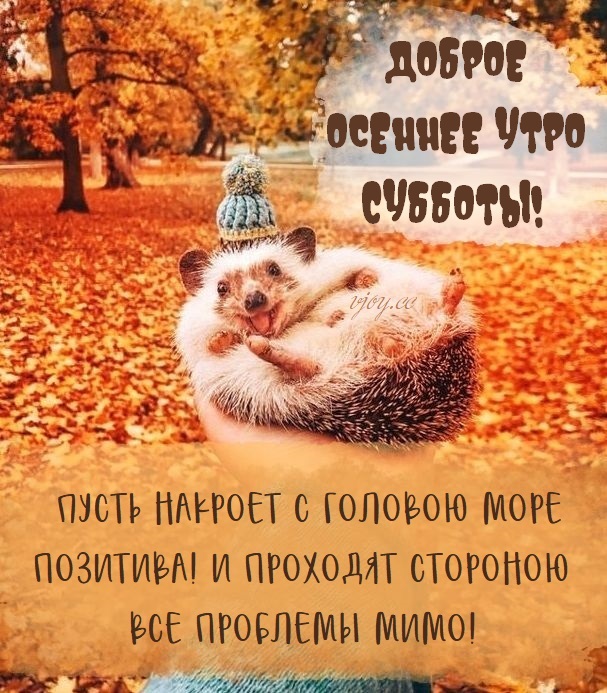 Хостинг картинок yapx.ru