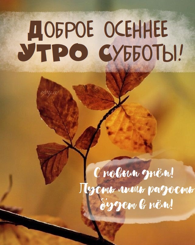 Хостинг картинок yapx.ru
