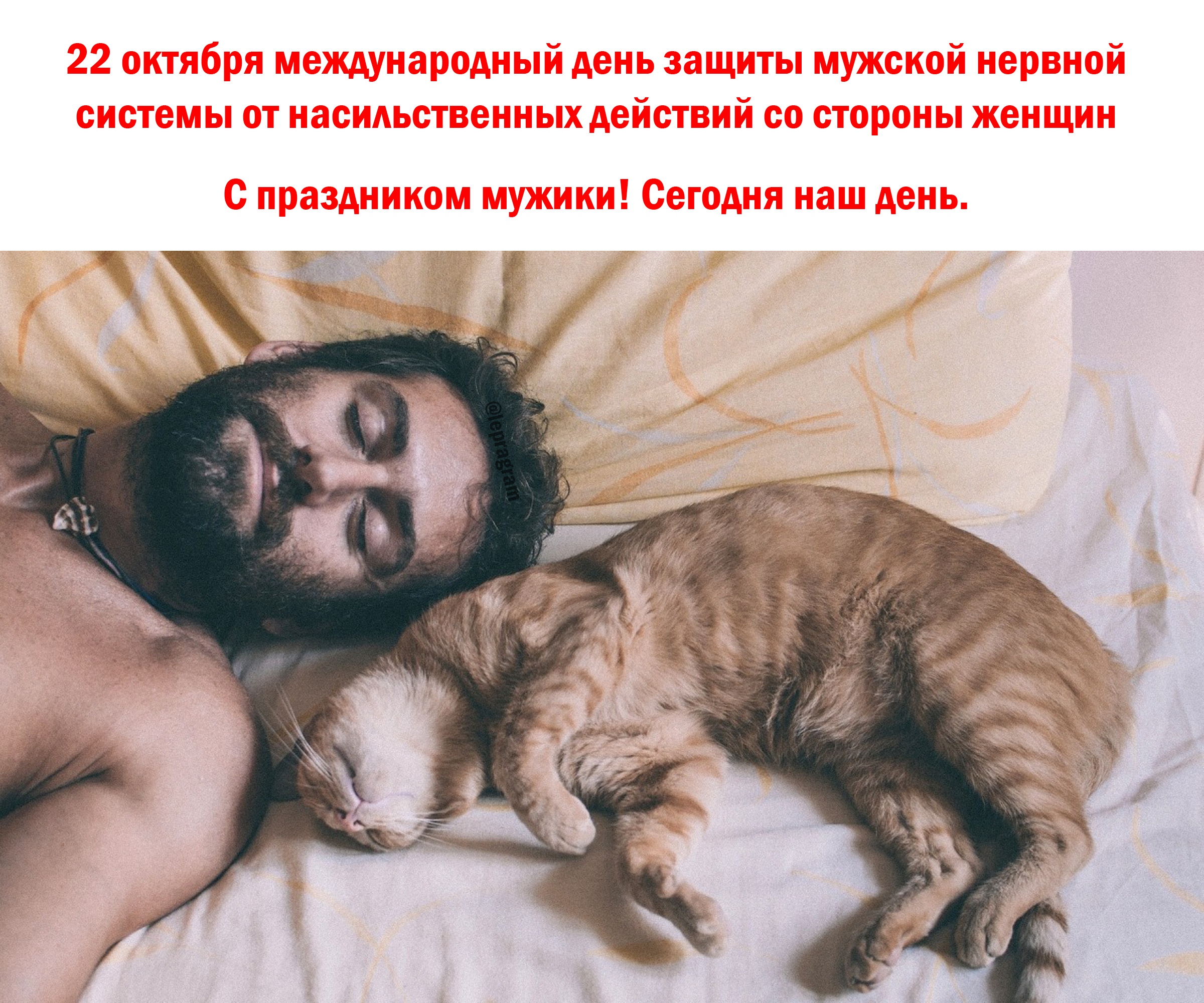 Хостинг картинок yapx.ru