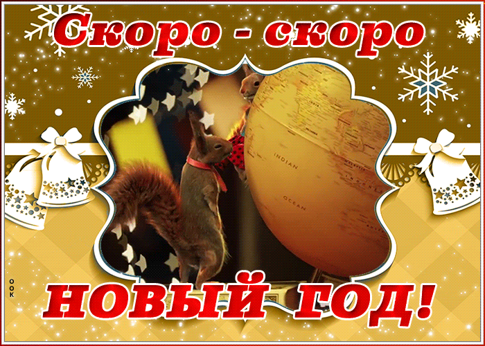 Анимашки скоро новый год с белками.
