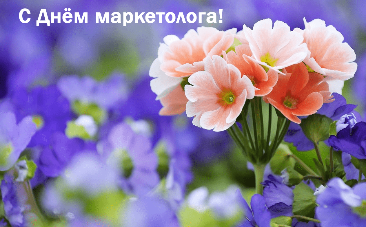 Хостинг картинок yapx.ru
