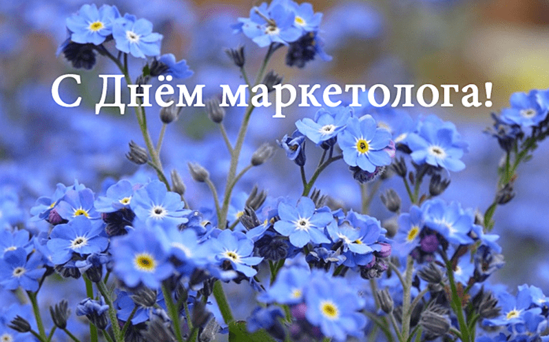 Хостинг картинок yapx.ru