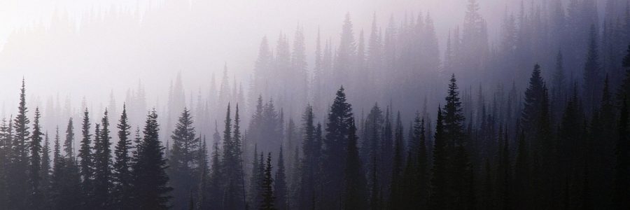 Обложка для профиля на форуме Обложка для профиля на форуме