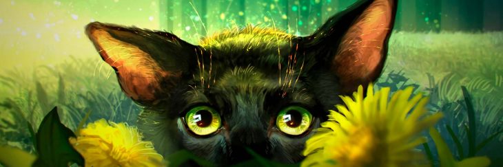 Смешной котик в одуванчиках. Смешной котик в одуванчиках.