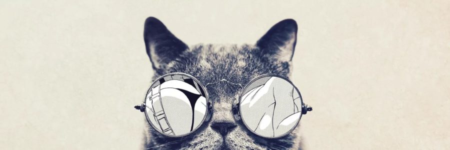 Смешной котик в очках. Смешной котик в очках.