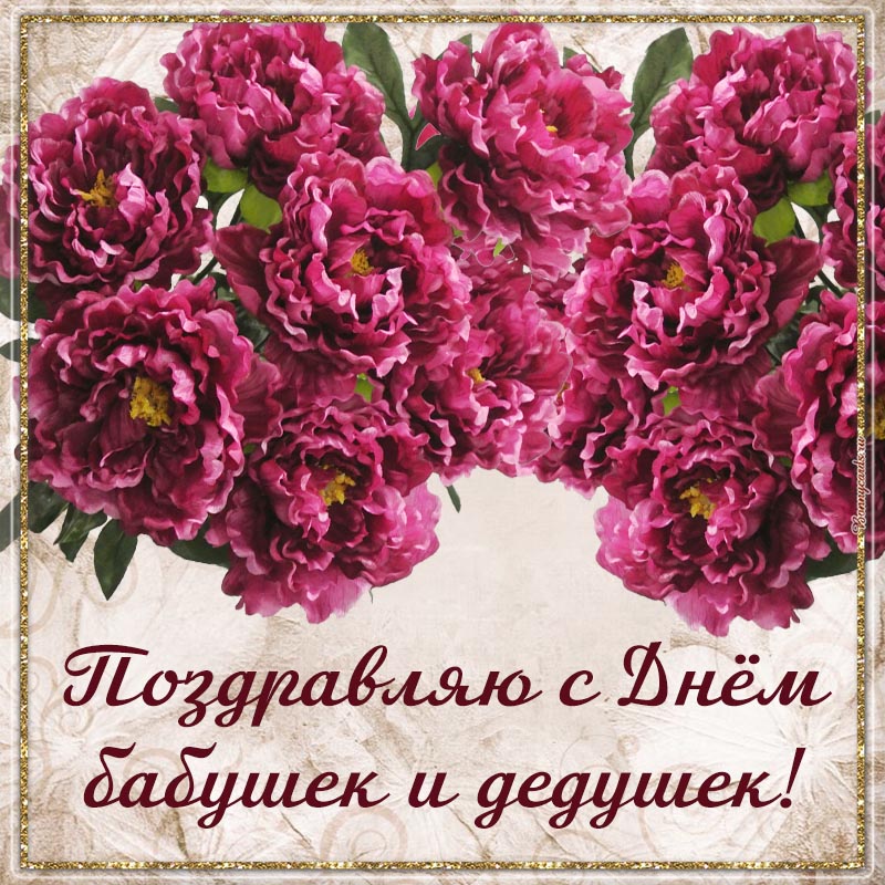Хостинг картинок yapx.ru