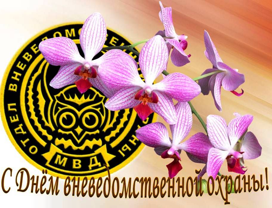 Картинки с днём Вневедомственной Охраны 29 Октября 2023 (50 фото)