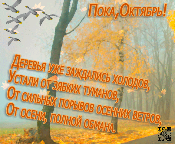 Хостинг картинок yapx.ru