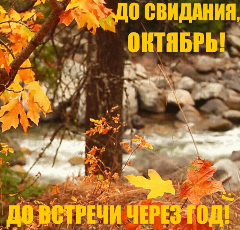 Хостинг картинок yapx.ru