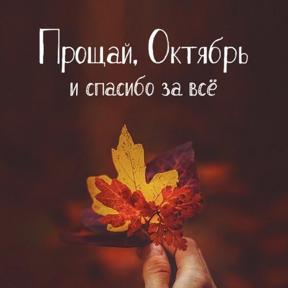 Красивые картинки с последним днём Октября 2023 (31 фото) Красивые картинки с последним днём Октября 2023 (31 фото)