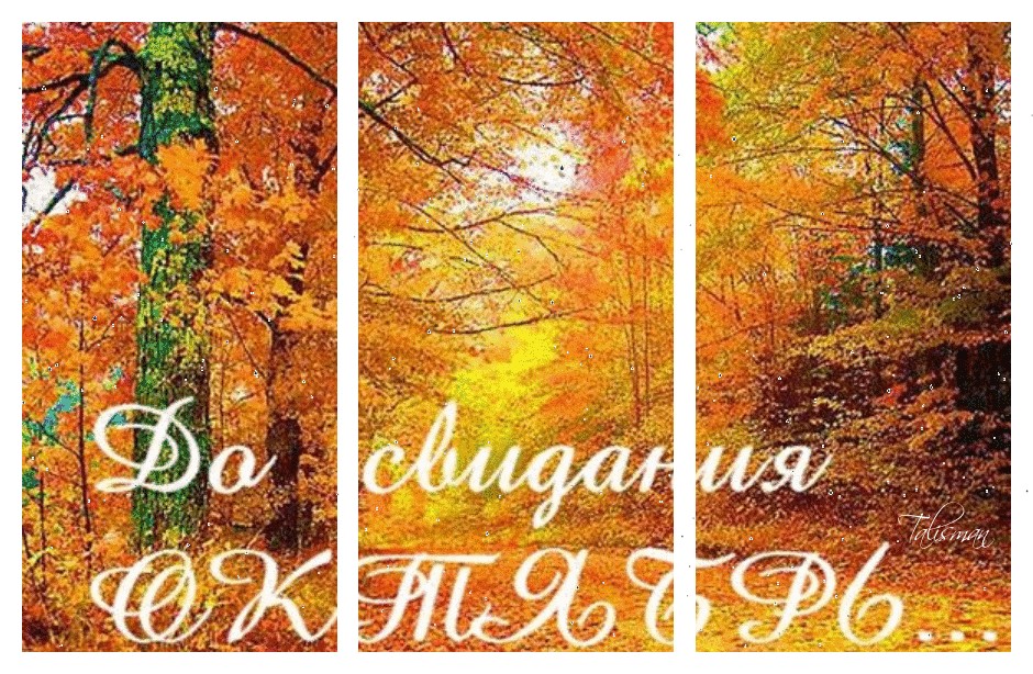 Прикольные открытки до свидания Октябрь, пока, до встречи через год, последние дни Прикольные открытки до свидания Октябрь, пока, до встречи через год, последние дни