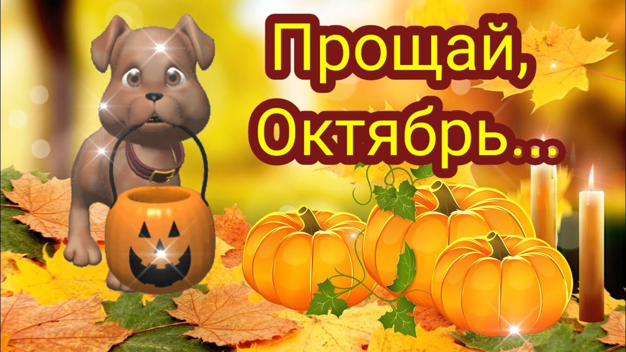 Прикольные открытки до свидания Октябрь, пока, до встречи через год, последние дни Прикольные открытки до свидания Октябрь, пока, до встречи через год, последние дни