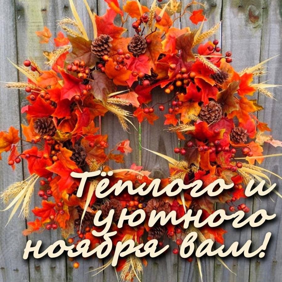 Тёплого и уютного ноября вам.