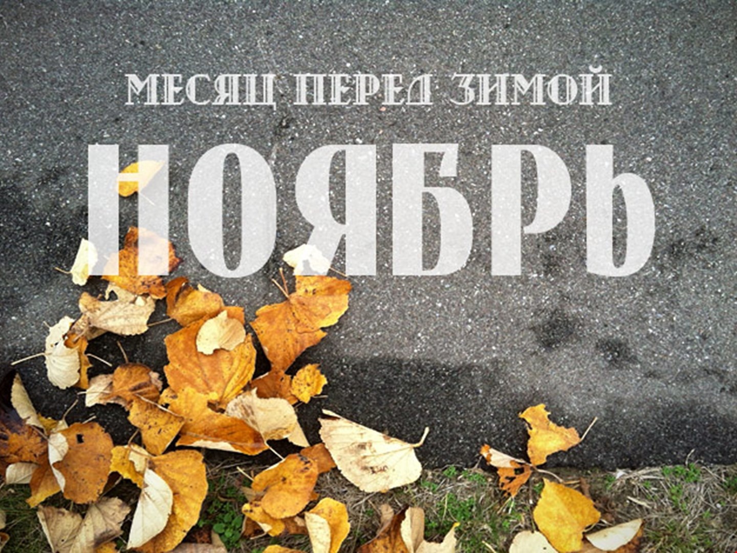 Месяц перед зимой - Ноябрь.