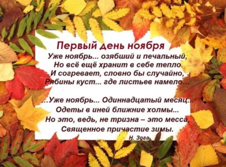 Стишок с пожеланием на первый ноябрьский день.