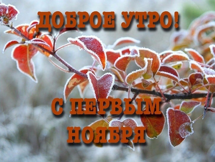 Первое доброе ноябрьское утро.
