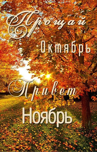 Картинка прощай октябрь, привет ноябрь.