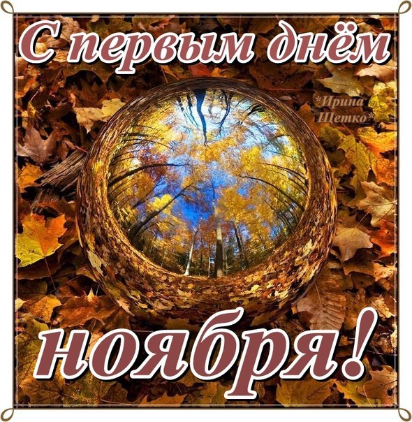 Красивые картинки с первым днём Ноября.