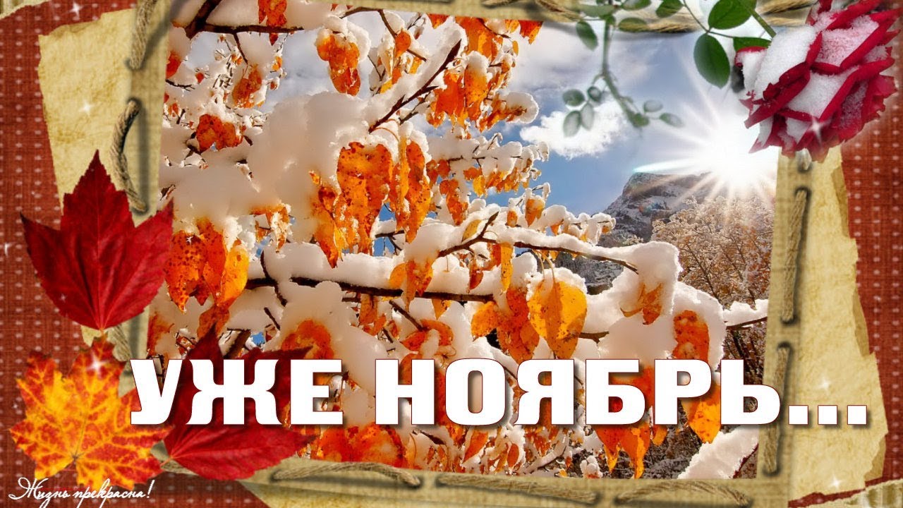 Хостинг картинок yapx.ru