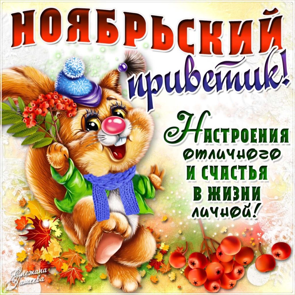Прикольная картинка ноябрьский привет, отличного настроения.