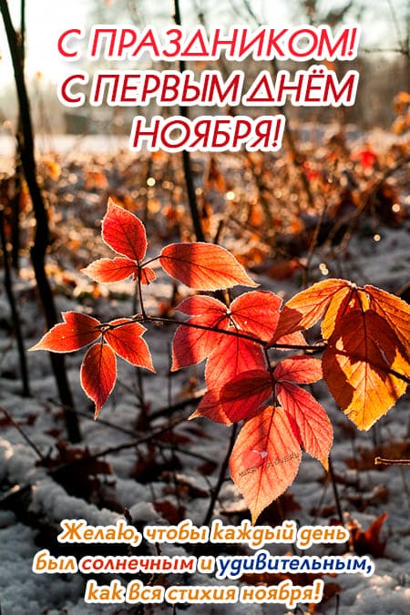 С праздником, с первым днём ноября!