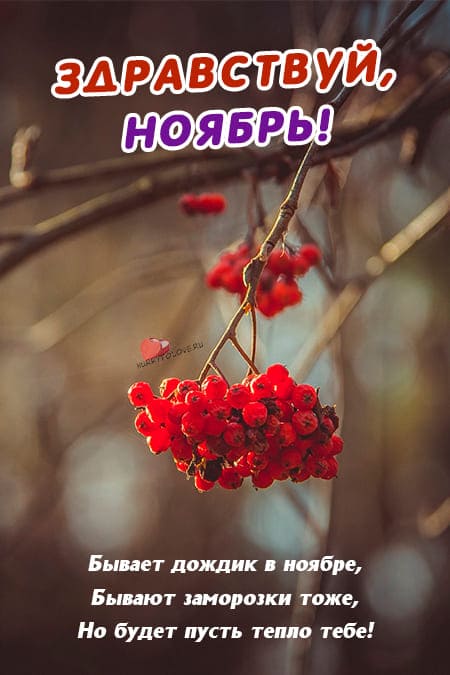Картинка здравствуй, ноябрь!