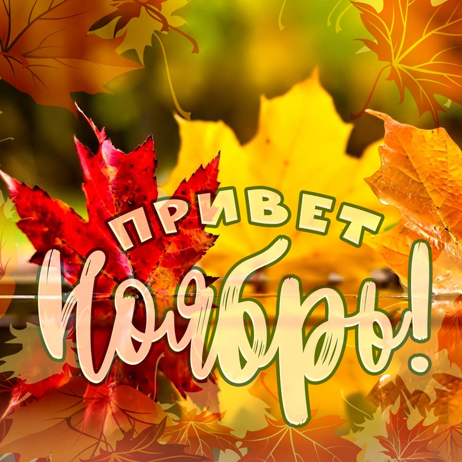 Привет, Ноябрь!