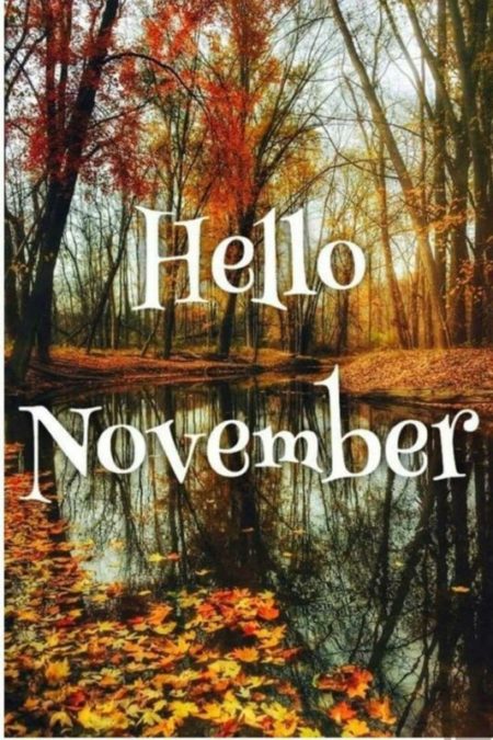 Hello November.